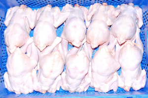 Ukraine rapidly increases poultry meat exports