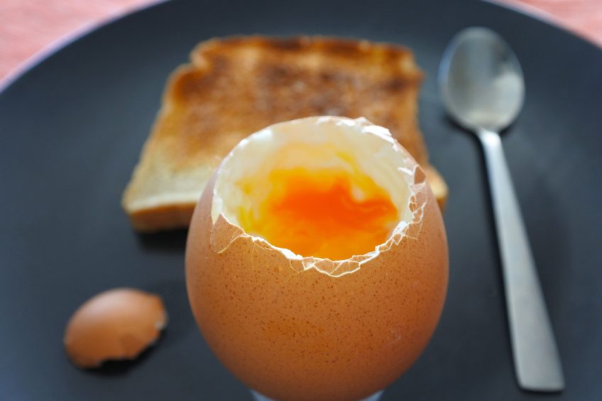 UK egg consumption breaks through the 6 billion barrier. Photo: Chameleons Eye/Rex/Shutterstock