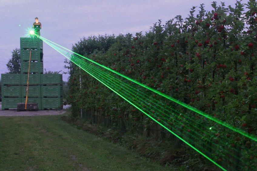 One of the first farmers using lasers to scare wild birds. Photo: Orchard farms
