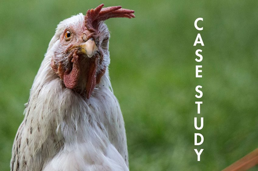 Poultry industry case studies
