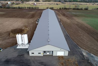 The new barn is a single-storey building making operations easier. Photo: Prinzen