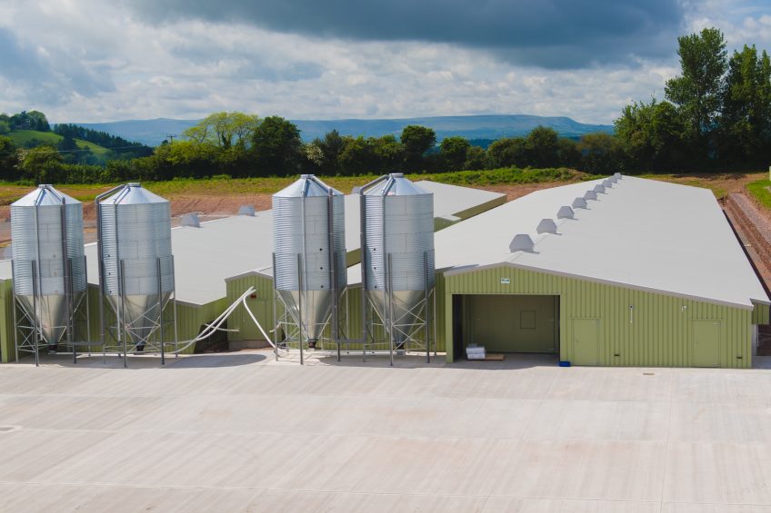 Court Farms  Long Orchard site, Hereford, which recently reviewed its ventilation set up, investing in Hydor kit.