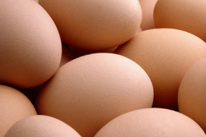 Ukraine increases egg production