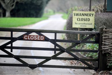 Bird flu discovered in England: Prevention zone imposed. Photo: Finbarr Webster/Rex/Shutterstock