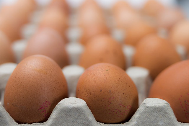 New Zealand poultry: To vote on compulsory egg stamping. Photo: Pixabay