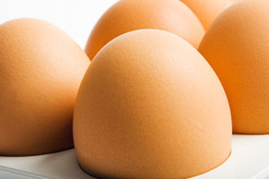 Kazakhstan reports steady increase in egg production