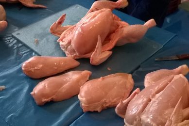 Russia aims high with organic poultry meat. Photo: Rosie Burgin