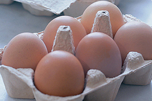 Nigerian poultry famers promise for healthy eggs