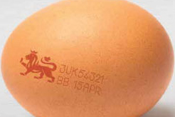 UK: &apos;Best before&apos; date extended for eggs