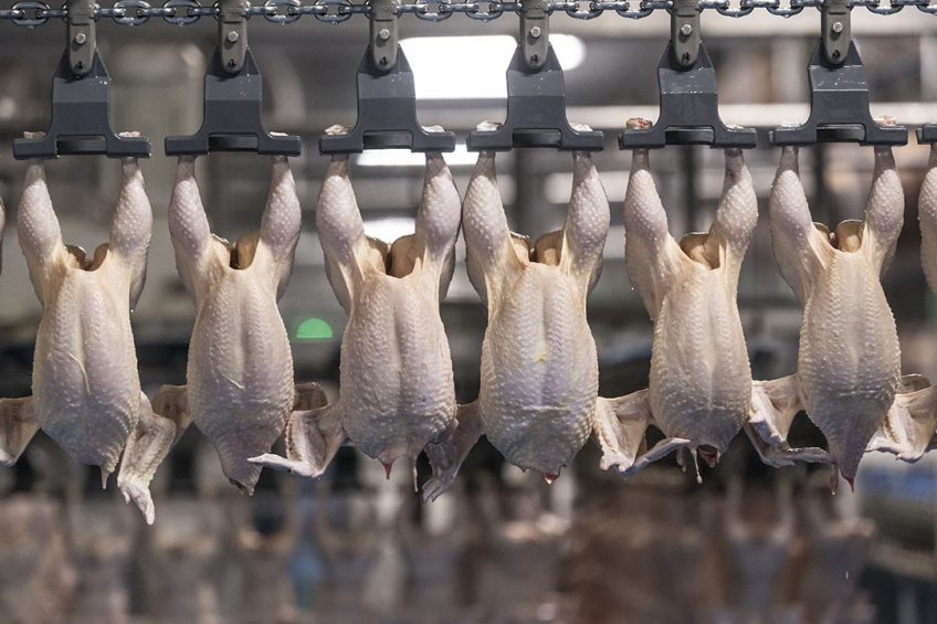 The growth in chicken meat consumption is expected to resume with the anticipated 2021 economic recovery. Photo: Koos Groenewold