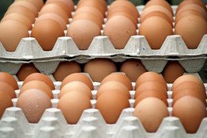 Georgia reports hike in egg imports