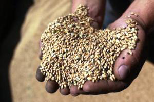 Safety guidelines set for safe delivery of feed to farms