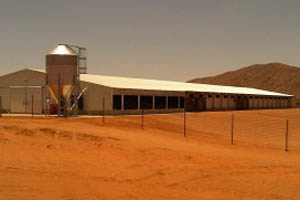 Namibian President opens new poultry facility