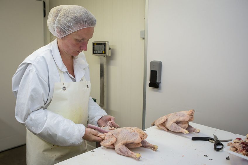 The Philippines imposed an embargo on Brazilian chicken meat after China found since August positive result for Covid-19 in tests carried out on a batch of chicken wings. Photo: Peter Roek