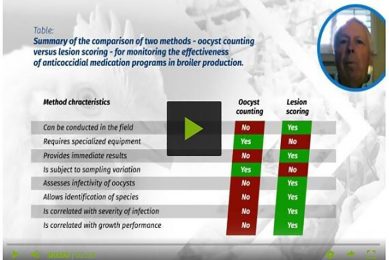 Video 2: Measuring the efficacy of an anticoccidial