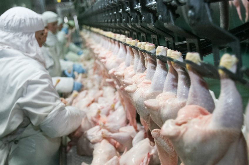 Oxfam campaigns to stop line speed hike in US poultry plants. Photo: Shutterstock