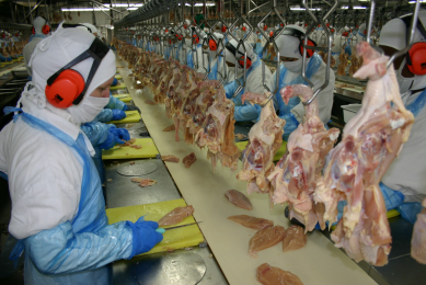 Big changes in Brazilian poultry meat industry
