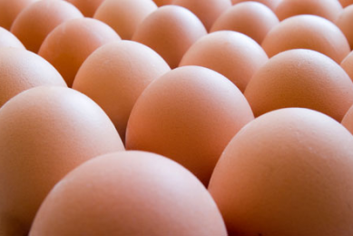 Kazakhstan increases egg production