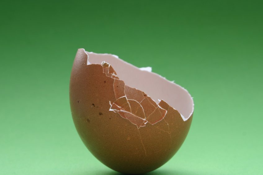 China looks to takeover Western egg processing businesses. Photo: Dreamstime