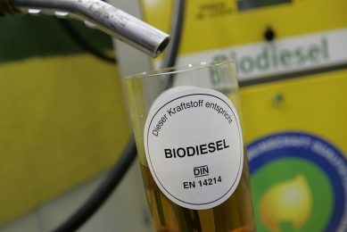 Brazilian researchers look into the possibility to turn poultry bone waste into a green biodiesel. Photo: Mark Pasveer
