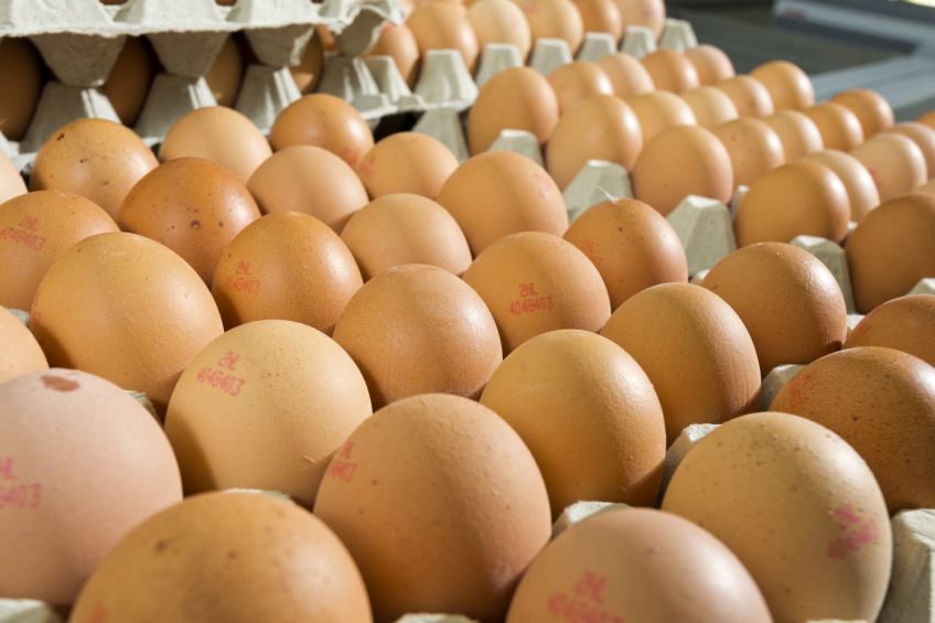 UK egg sales heading for a record year