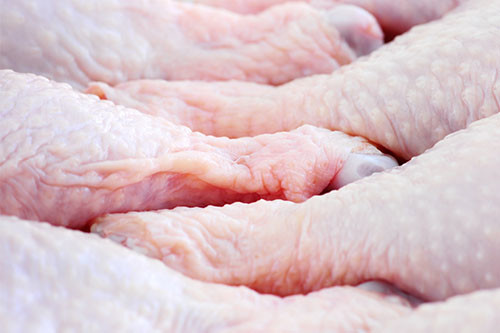 Study: AMR resistance detected in chicken samples. Photo: Monkey Business Images/REX/Shutterstock