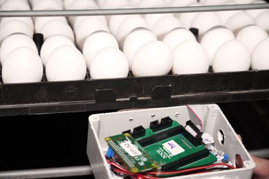 Soos has developed an acoustic cell to measure the sound inside of the incubator. Their technology transforms the embryo through sound vibration and through changing the environmental conditions in the incubator. Photo: Jordan Kastrinsky, Soos.