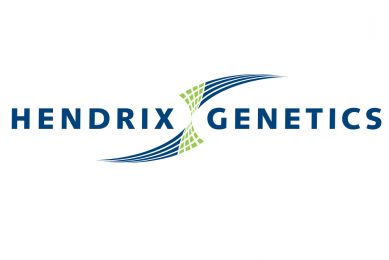 Hendrix Genetics expand layer distribution in the US