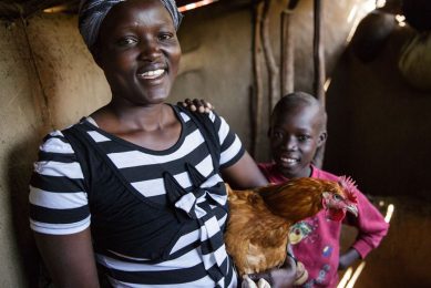 The Hatching Hope programme in Kenya aims to enhance the current poultry food and farming system. Photo: Heifer International