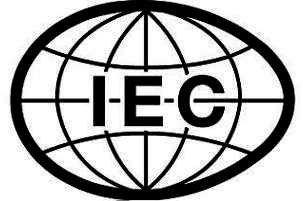 Knowledge shared at IEC Business Conference