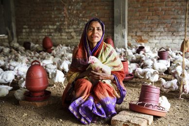 With some help from NGO Dwip Unnayan Songstha (DUS), poultry farmer Resma Begum made a good living from poultry. Covid-19 has put a severe strain on earnings in Bangladesh. Photo: ANP/G.M.B. Akash