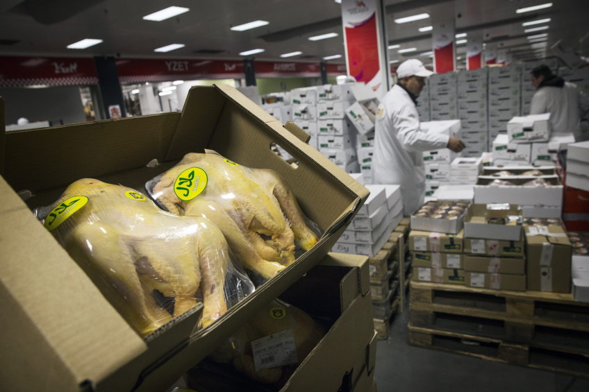 EU poultry sector set for further expansion