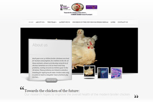 Breeding better chickens website launched