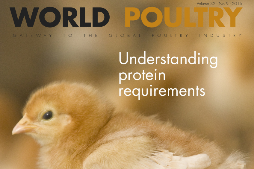 The 9th edition of World Poultry 2016 now online