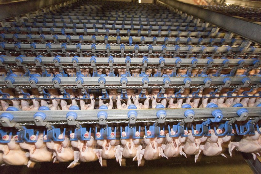 Huge poultry processing plant built in Tatarstan