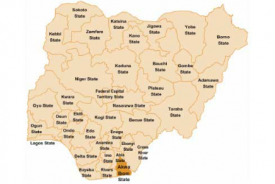 Nigeria: New hatchery has 540,000 daily capacity