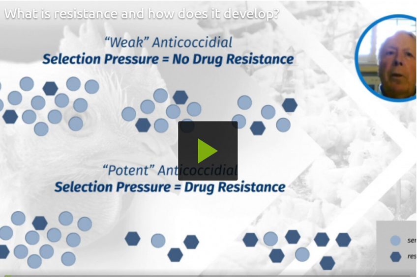 Video 9: What is resistance and how does it develop?