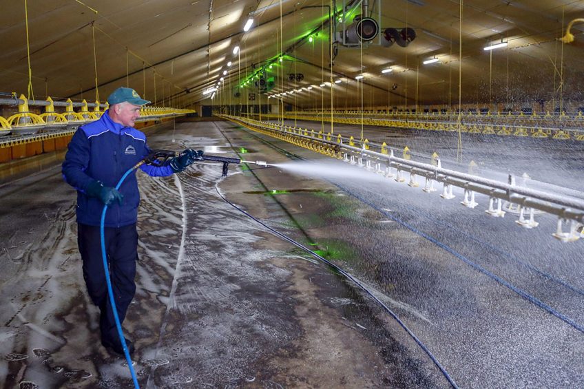 Even the most thorough cleaning practices don t always guarantee clean poultry houses. The viral status of the house can be monitored using the new VIR Check. Photo: Bert Jansen