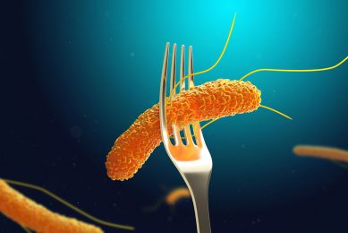 Salmonella contamination is a global issue, it is critical that it is tackled at all stages of production. Photo: Shutterstock