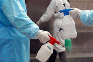 Small-scale disinfections can stem avian flu in Asia