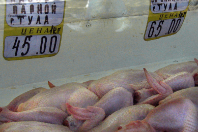 Kazakhstan’s poultry farmers reporting losses