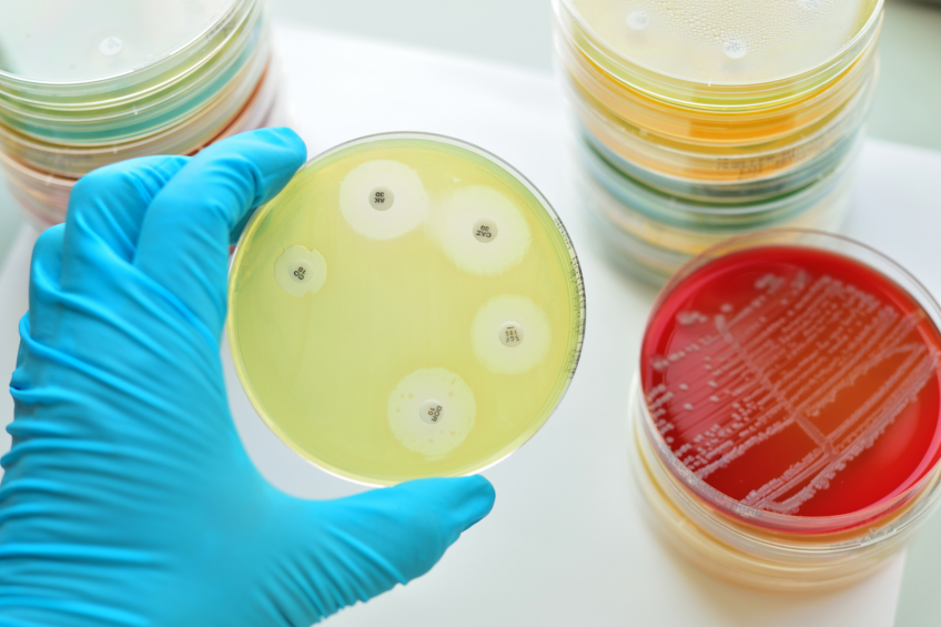Superbug poses risk for workers and consumers. Photo: Jarun Ontakrai.