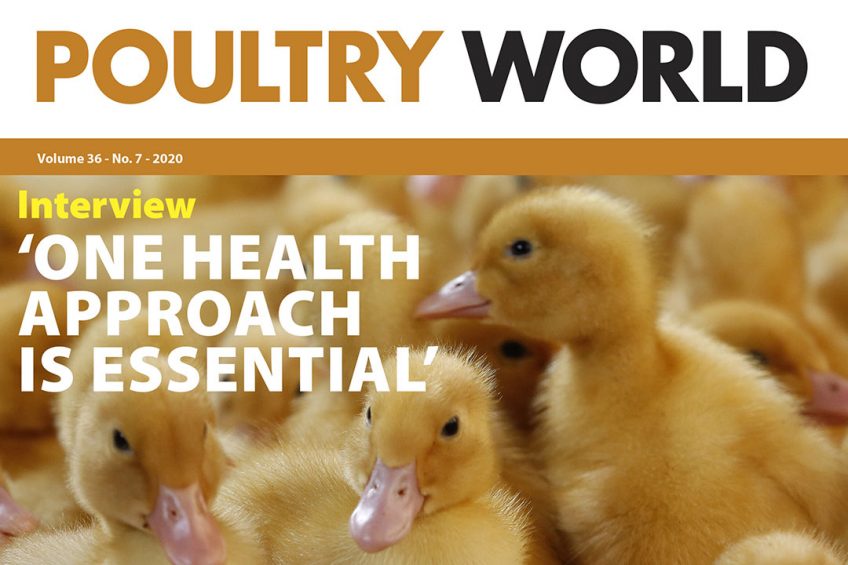 Poultry World edition 7 of 2020 is now online