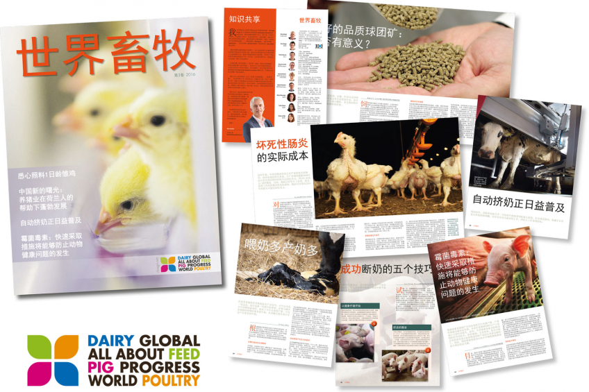 World Poultry publishes 3rd annual Chinese special