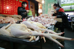 New H7N9 case impacts poultry recovery in China