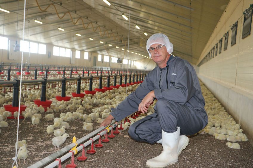 Producers organization Gaevol, of which Dahirel is the president, and feed coop Sanders came together and decided to produce broilers at the McDonalds requirements. Photo: Isabelle Lejas