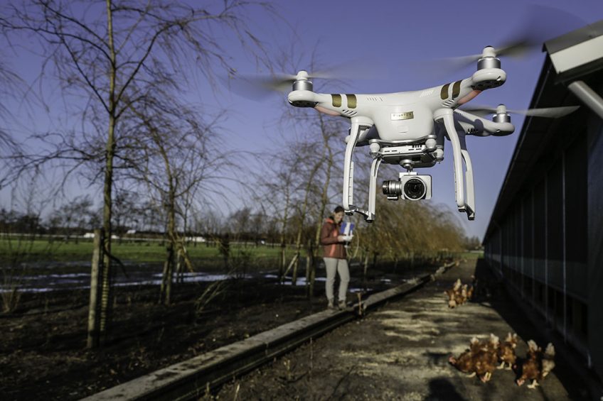 Robots, drones and other autonomous tools can be used to better monitor birds. Photo Jan Willem van Vliet