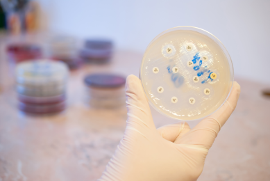 Regular tests measuring the susceptibility of antibiotics show an increase in resistant bacteria.<br />Photo: Shutterstock]