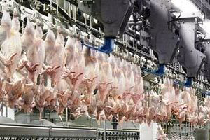 BRF to build a poultry processing plant in China