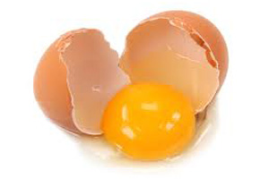 European Salmonella outbreak traced to German eggs